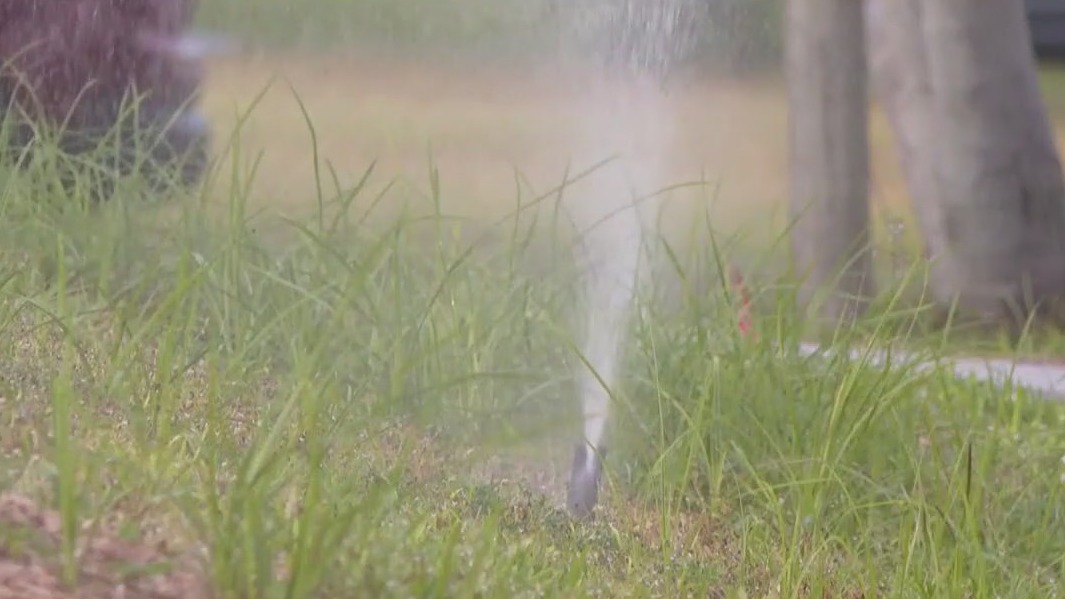 Watering restrictions extended in Tampa Bay